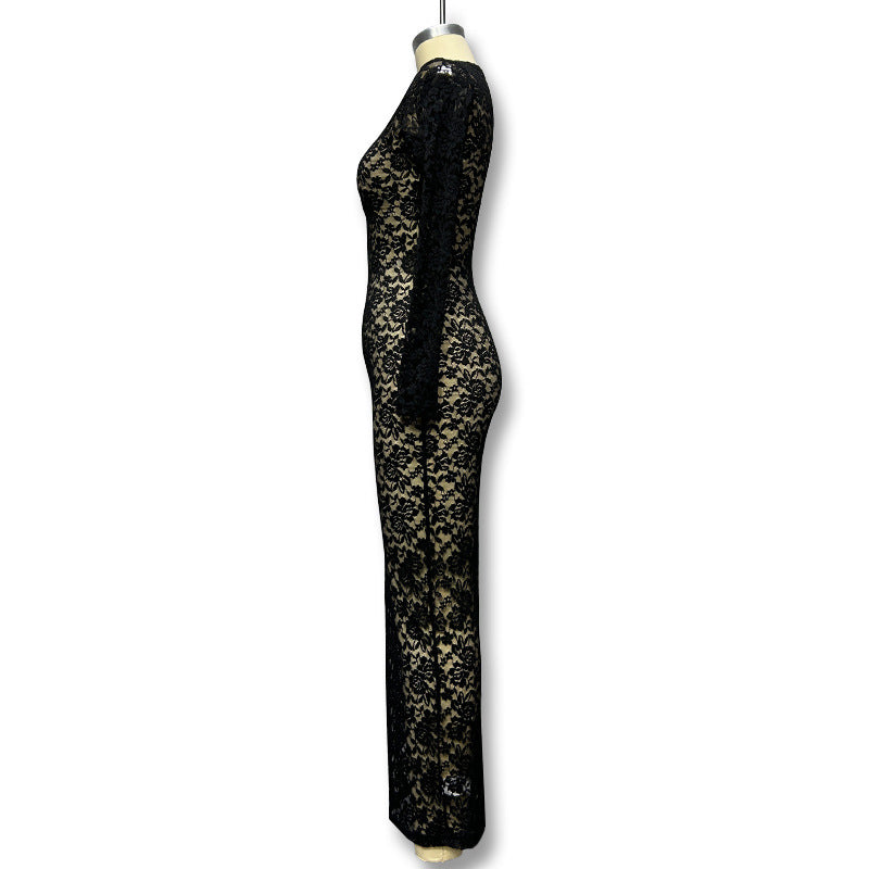 Sexy Sheer Lace Long Sleeve Bodycon Maxi Dress