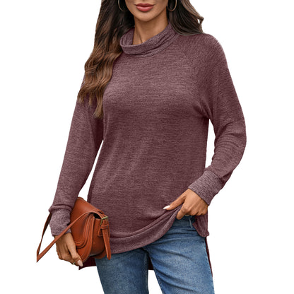 Women's Color Block Cowl Neck Long Sleeve Tunic Top