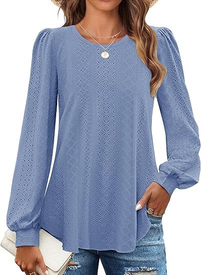Solid Eyelet Lace Blouse Crew Neck Lantern Sleeve Top