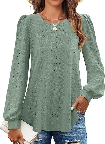 Solid Eyelet Lace Blouse Crew Neck Lantern Sleeve Top