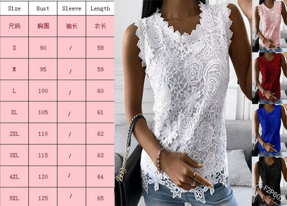 Women's Lace Long Sleeve Scalloped Neck Blouse