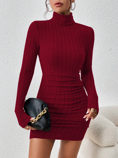 Ribbed Turtleneck Long Sleeve Bodycon Mini Dress