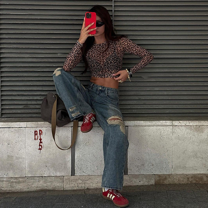 Leopard Print Sheer Mesh Long Sleeve Crop Top