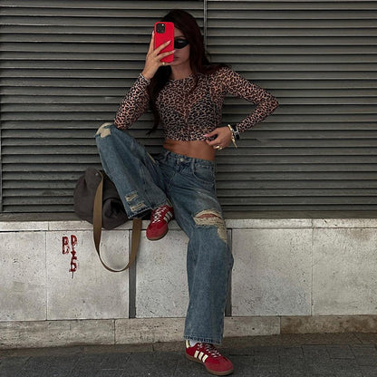Leopard Print Sheer Mesh Long Sleeve Crop Top