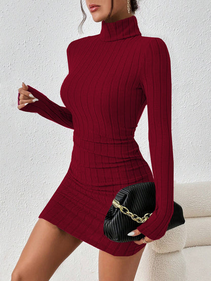 Ribbed Turtleneck Long Sleeve Bodycon Mini Dress