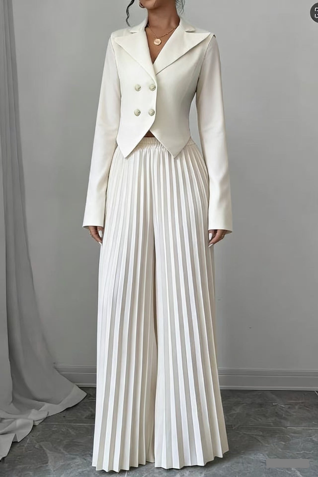 Women's 2 Piece Blazer Set Pleated Wide Leg Pants