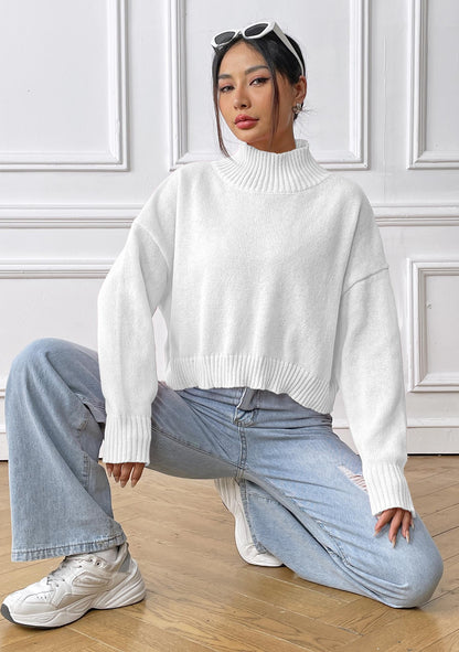 Women's Turtleneck Pullover Solid Color Loose Casual Bottoming Shirt