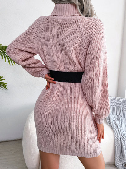 Button Detail Turtleneck Sweater Dress | Without Belt