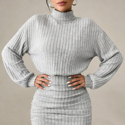 Ribbed Turtleneck Long Sleeve Bodycon Mini Dress