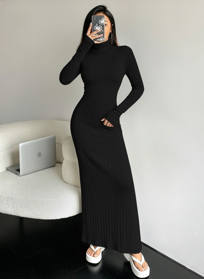 Ribbed Turtleneck Long Sleeve Bodycon Maxi Dress