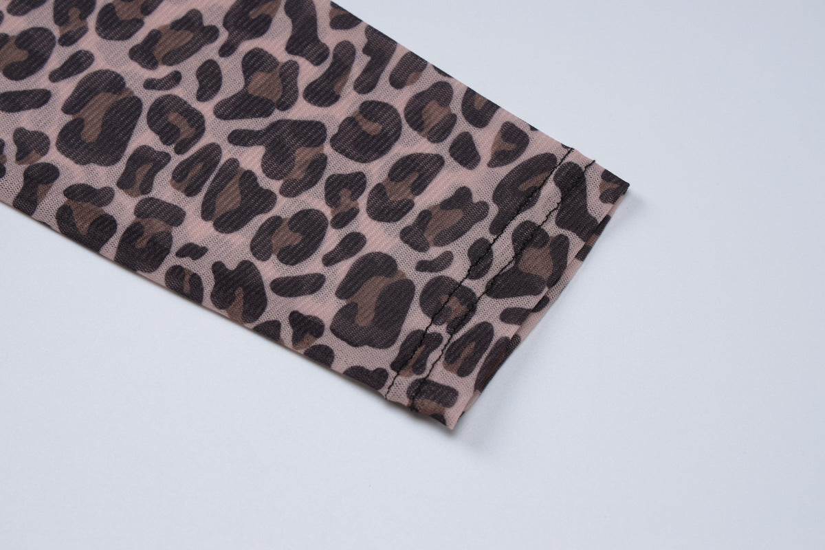 Leopard Print Sheer Mesh Long Sleeve Crop Top