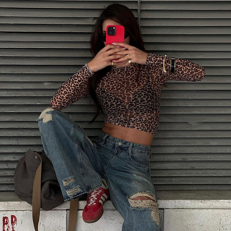 Leopard Print Sheer Mesh Long Sleeve Crop Top