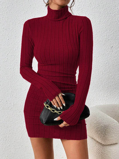 Ribbed Turtleneck Long Sleeve Bodycon Mini Dress
