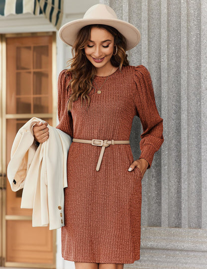 Brushed Rib Knit Long Sleeve Casual A-Line Sweater Dress