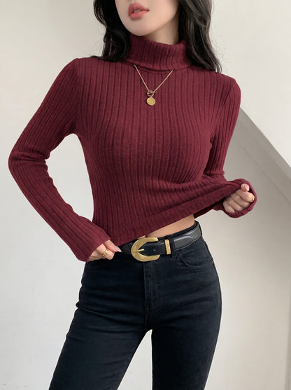 Women's Ribbed Turtleneck Long Sleeve Fitted Top