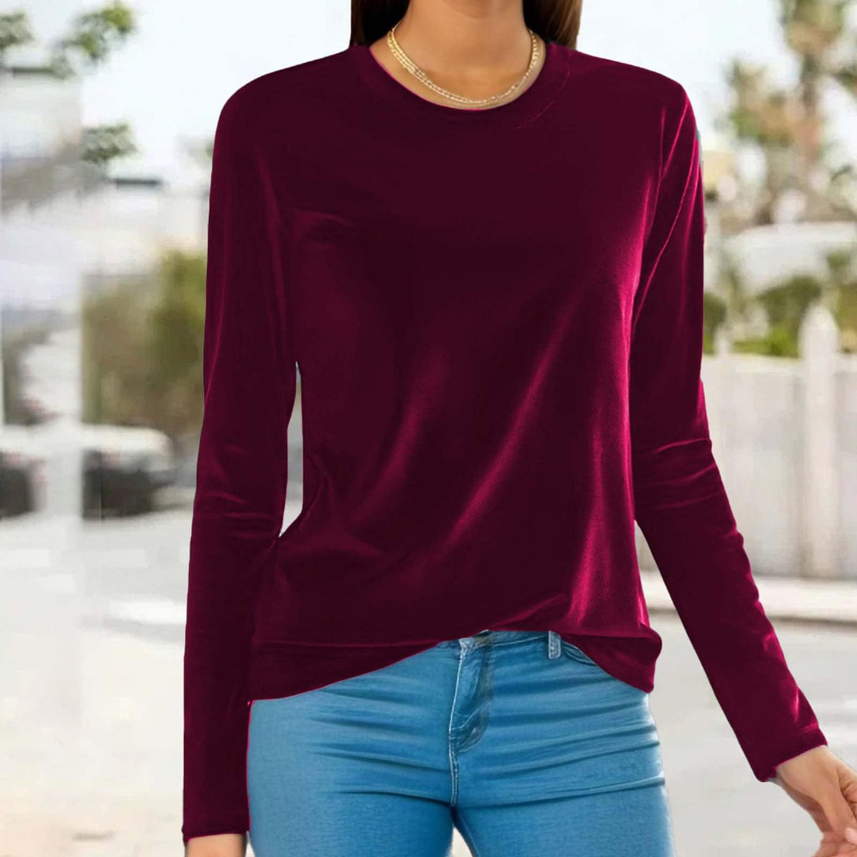 Women's Velvet Long Sleeve Crew Neck Top