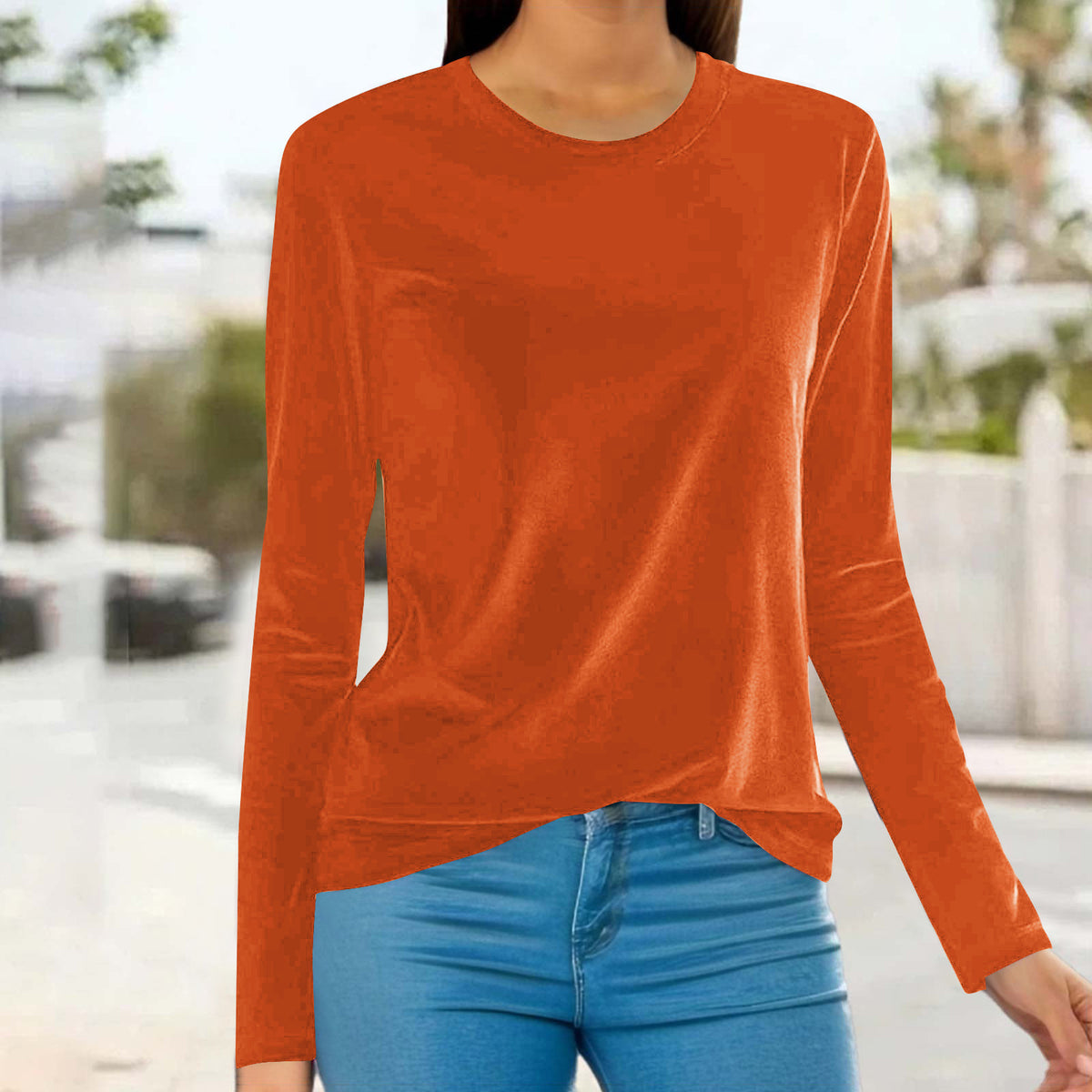 Women's Velvet Long Sleeve Crew Neck Top