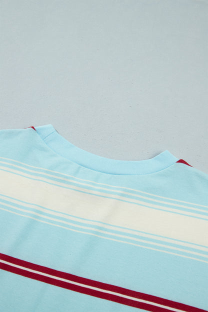 Sky Blue Stripe Casual Striped Patchwork Long Sleeve Loose Pullover Top
