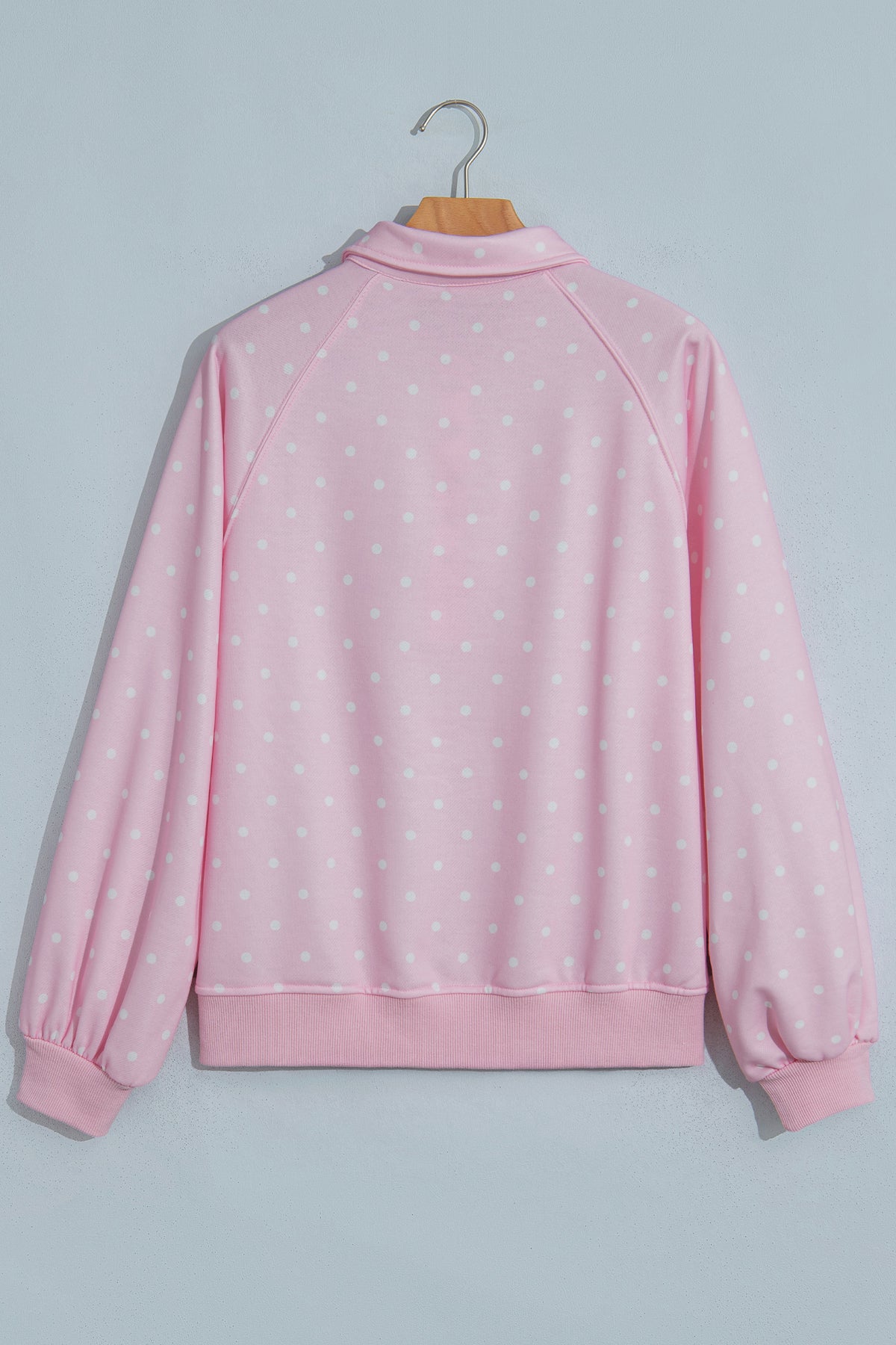 Polka Dot Button Collar Pullover Sweatshirt