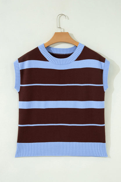 Sky Blue Stripe Striped Short Sleeve Round Neck Casual Knit Top