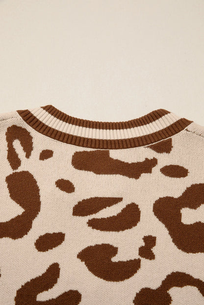 Leopard Print V Neck Sweater Casual Knit Pullover for Women