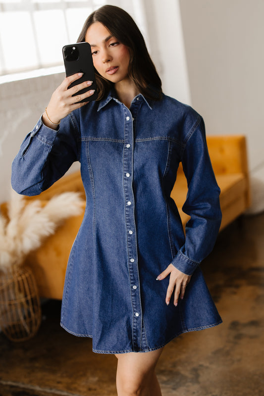Ashleigh Blue Denim Shirt Collar Long Sleeve Flared Dress