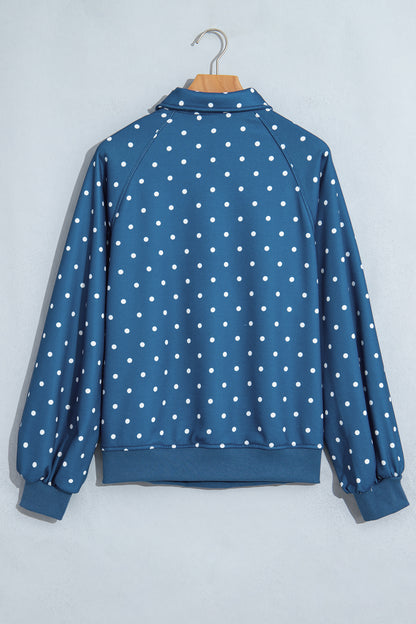 Polka Dot Button Collar Pullover Sweatshirt