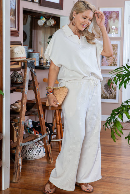 Beige Plus Size Textured Collared Top and Pants Set