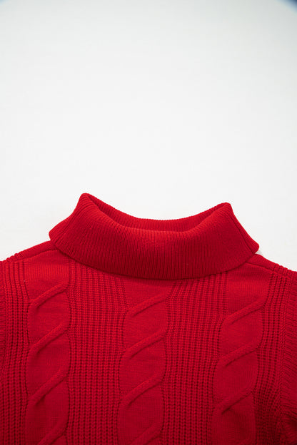 Western Cable Knit Turtleneck Ruffle Sleeve Sweater Top