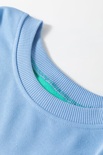 Mauve Colorblock Drop Shoulder Oversized Sweatshirt