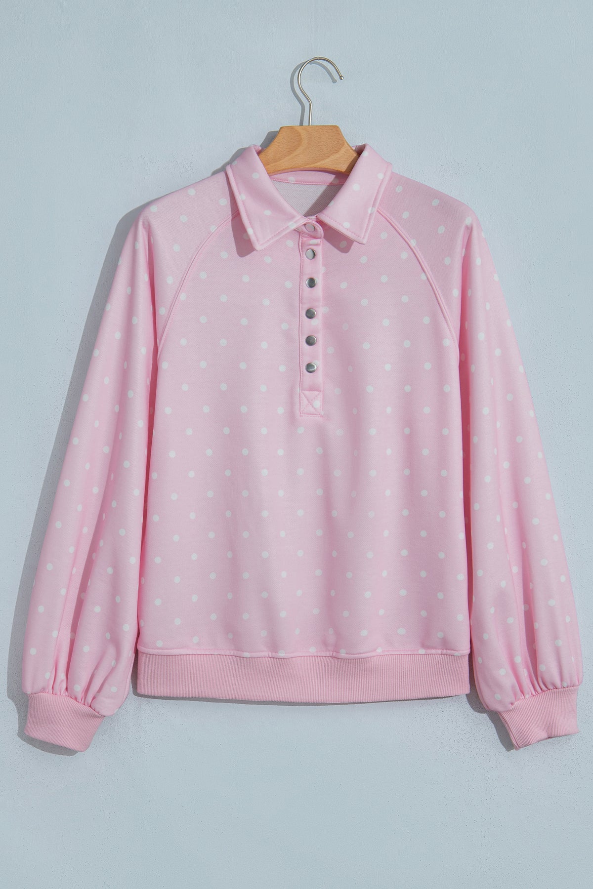Polka Dot Button Collar Pullover Sweatshirt