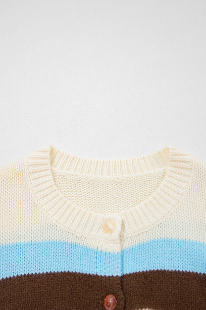 Multicolor Striped Colorblock Drop Shoulder Knit Cardigan