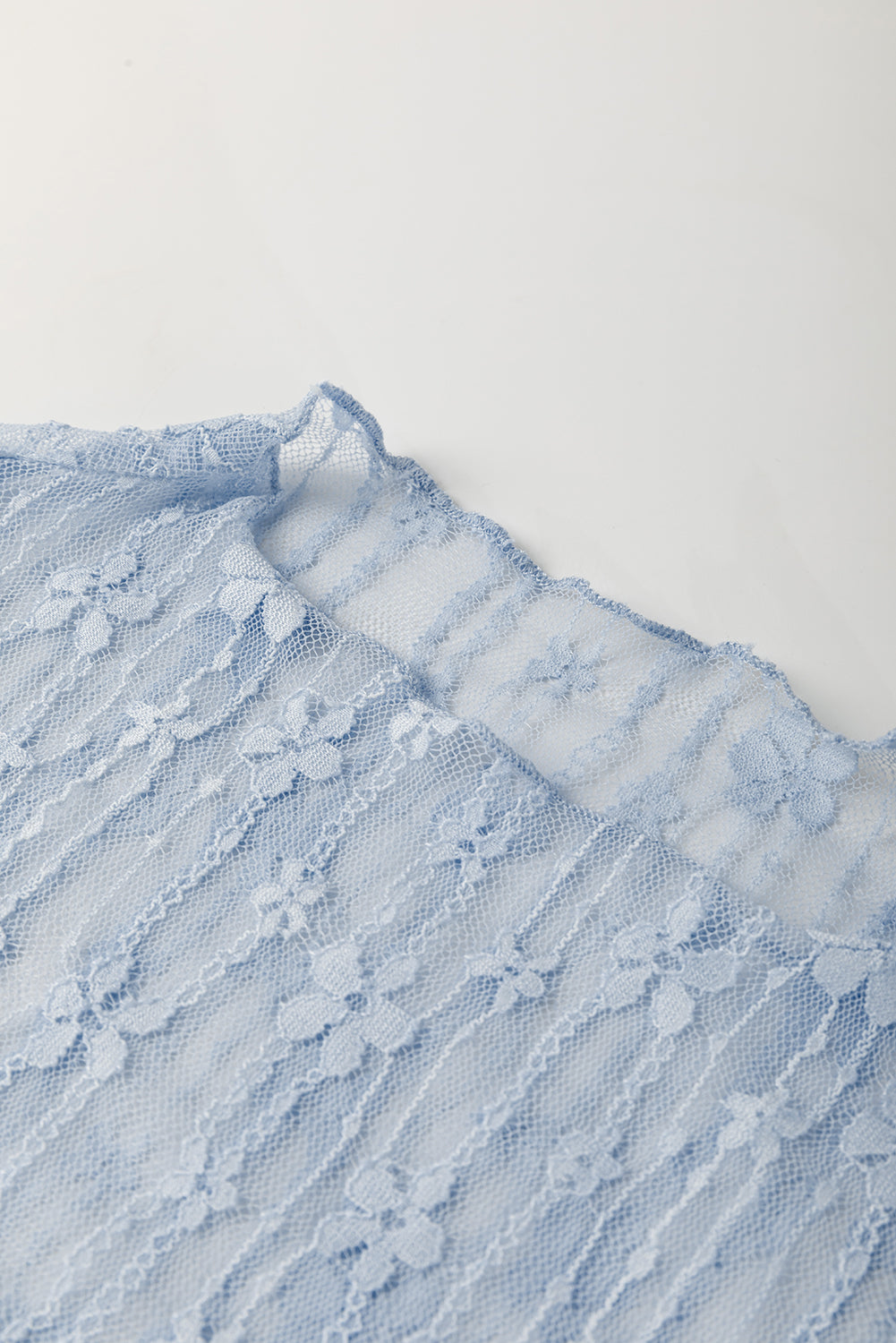 Ashleigh Blue Sheer Floral Lace Mock Neck Long Sleeve Top