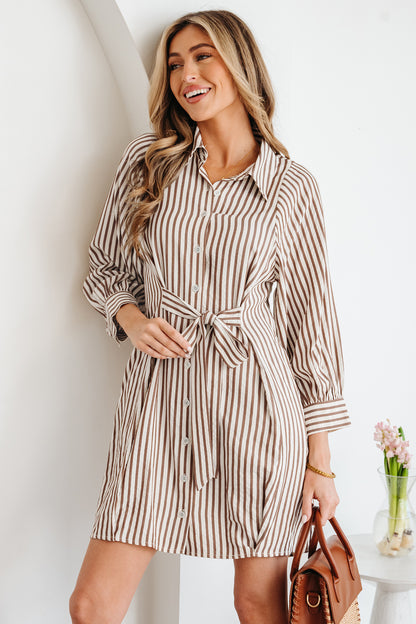Brown Stripe Knot Waist Puff Sleeve Button Down Shirt Dress
