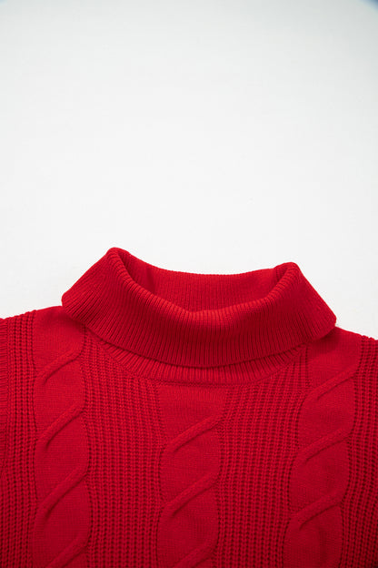 Western Cable Knit Turtleneck Ruffle Sleeve Sweater Top
