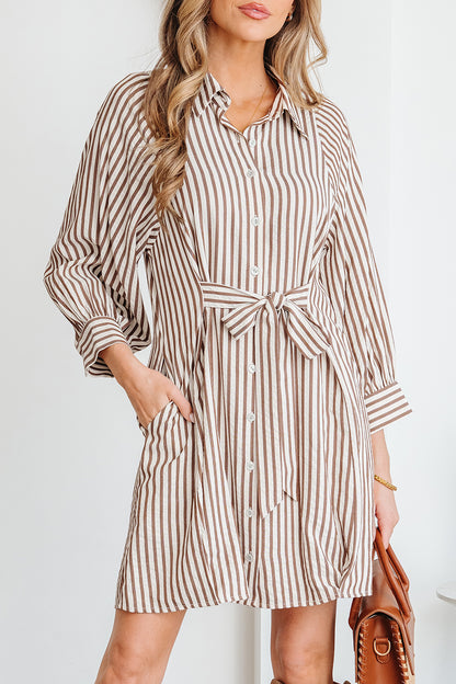 Brown Stripe Knot Waist Puff Sleeve Button Down Shirt Dress
