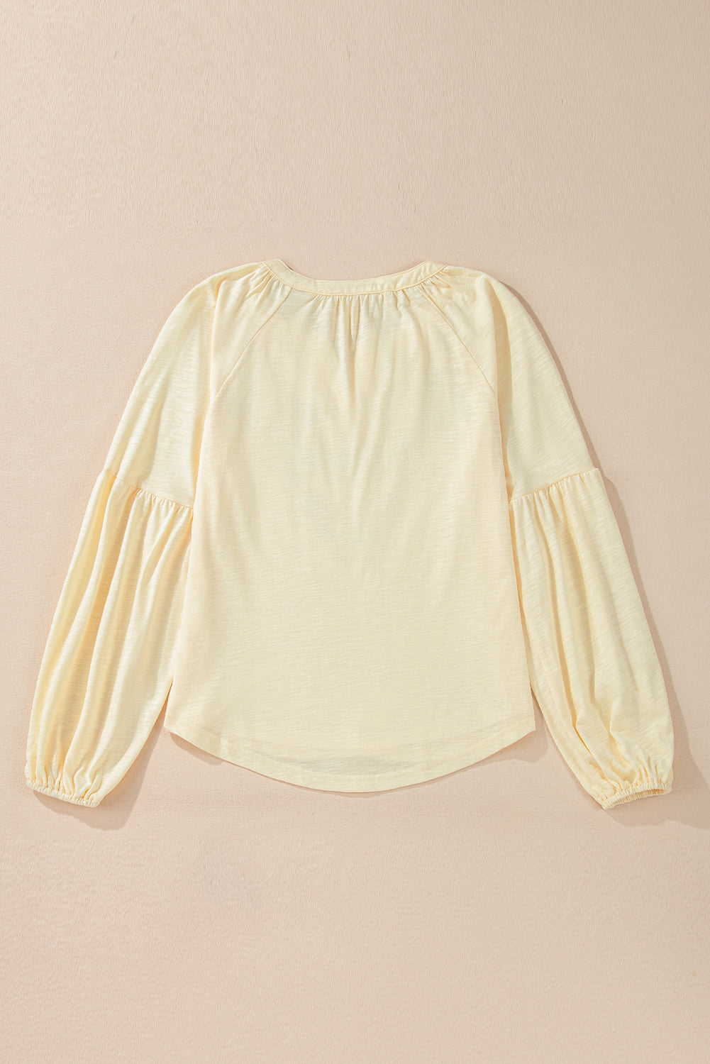 Floral Embroidered V Neck Balloon Sleeve Blouse