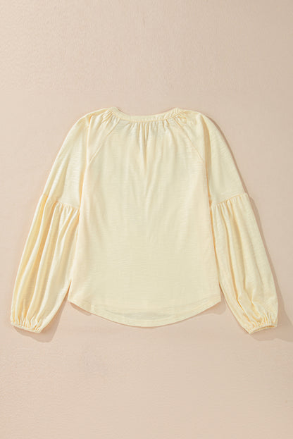Floral Embroidered V Neck Balloon Sleeve Blouse