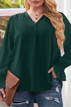 Pleated V Neck Puffy Sleeve Blouse Plus Size